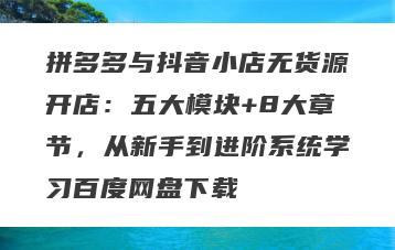 拼多多与抖音小店无货源开店：五大模块+8大章节，从新手到进阶系统学习百度网盘下载