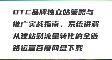 DTC品牌独立站策略与推广实战指南，系统讲解从建站到流量转化的全链路运营百度网盘下载