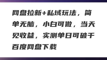 网盘拉新+私域玩法，简单无脑，小白可做，当天见收益，实测单日可破千百度网盘下载
