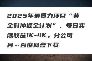 2025年最暴力项目“黄金对冲掘金计划”，每日实际收益1K-4K。分公司月…百度网盘下载