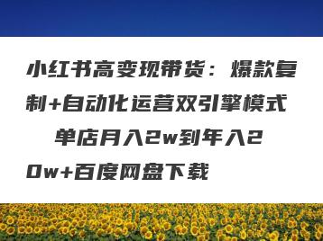 小红书高变现带货：爆款复制+自动化运营双引擎模式  单店月入2w到年入20w+百度网盘下载