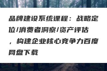 品牌建设系统课程：战略定位/消费者洞察/资产评估，构建企业核心竞争力百度网盘下载