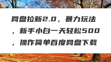 网盘拉新2.0，暴力玩法，新手小白一天轻松500，操作简单百度网盘下载