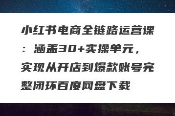 小红书电商全链路运营课：涵盖30+实操单元，实现从开店到爆款账号完整闭环百度网盘下载