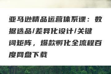 亚马逊精品运营体系课：数据选品/差异化设计/关键词矩阵，爆款孵化全流程百度网盘下载