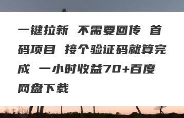 一键拉新 不需要回传 首码项目 接个验证码就算完成 一小时收益70+百度网盘下载