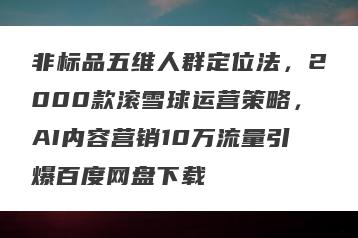 非标品五维人群定位法，2000款滚雪球运营策略，AI内容营销10万流量引爆百度网盘下载