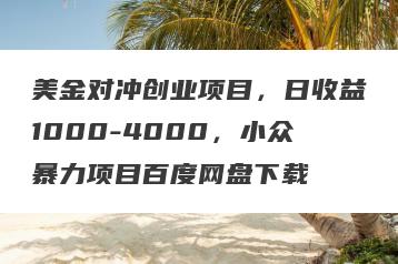 美金对冲创业项目，日收益1000-4000，小众暴力项目百度网盘下载