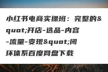 小红书电商实操班：完整的"开店-选品-内容-流量-变现"闭环体系百度网盘下载