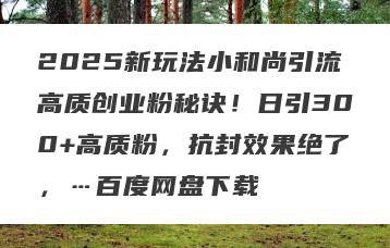 2025新玩法小和尚引流高质创业粉秘诀！日引300+高质粉，抗封效果绝了，…百度网盘下载