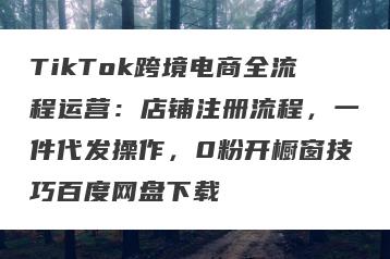 TikTok跨境电商全流程运营：店铺注册流程，一件代发操作，0粉开橱窗技巧百度网盘下载