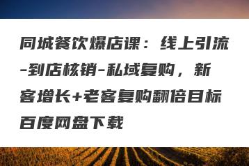 同城餐饮爆店课：线上引流-到店核销-私域复购，新客增长+老客复购翻倍目标百度网盘下载