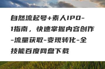 自然流起号+素人IP0-1指南，快速掌握内容创作-流量获取-变现转化-全技能百度网盘下载