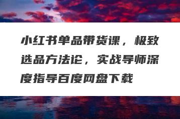 小红书单品带货课，极致选品方法论，实战导师深度指导百度网盘下载