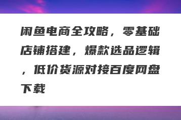 闲鱼电商全攻略，零基础店铺搭建，爆款选品逻辑，低价货源对接百度网盘下载