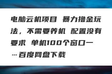 电脑云机项目 暴力撸金玩法，不需要养机 配置没有要求 单机100个窗口一…百度网盘下载