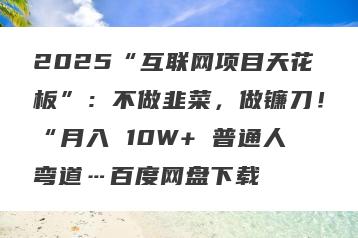 2025“互联网项目天花板”：不做韭菜，做镰刀！“月入 10W+ 普通人弯道…百度网盘下载