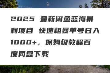 2025 最新闲鱼蓝海暴利项目 快速粗暴单号日入1000+，保姆级教程百度网盘下载