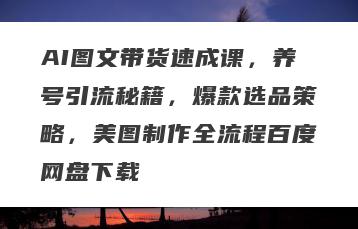 AI图文带货速成课，养号引流秘籍，爆款选品策略，美图制作全流程百度网盘下载