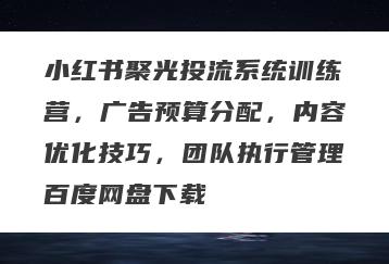 小红书聚光投流系统训练营，广告预算分配，内容优化技巧，团队执行管理百度网盘下载