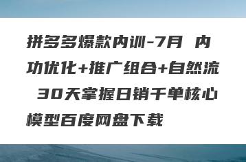 拼多多爆款内训-7月 内功优化+推广组合+自然流 30天掌握日销千单核心模型百度网盘下载