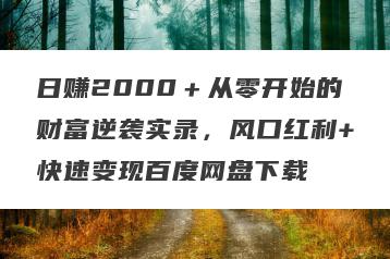 日赚2000＋从零开始的财富逆袭实录，风口红利+快速变现百度网盘下载