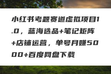 小红书考题赛道虚拟项目1.0，蓝海选品+笔记矩阵+店铺运营，单号月赚5000+百度网盘下载