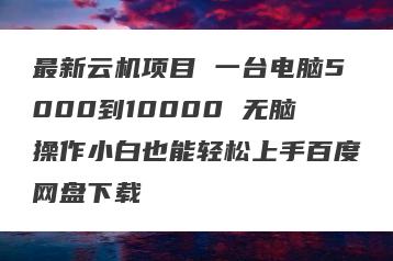 最新云机项目 一台电脑5000到10000 无脑操作小白也能轻松上手百度网盘下载