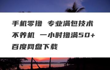 手机零撸 专业满包技术 不养机 一小时撸满50+百度网盘下载