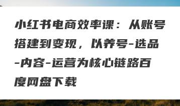 小红书电商效率课：从账号搭建到变现，以养号-选品-内容-运营为核心链路百度网盘下载