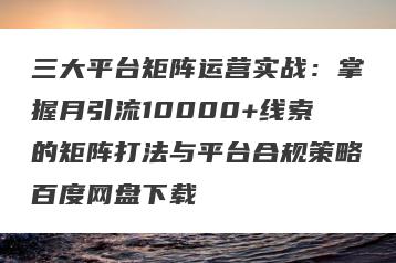 三大平台矩阵运营实战：掌握月引流10000+线索的矩阵打法与平台合规策略百度网盘下载
