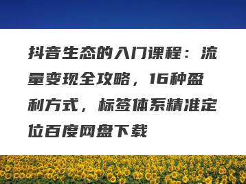 抖音生态的入门课程：流量变现全攻略，16种盈利方式，标签体系精准定位百度网盘下载