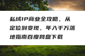 私域IP商业全攻略，从定位到变现，年入千万落地指南百度网盘下载