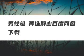 男性雄風再造解密百度网盘下载