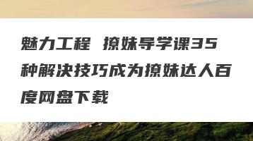 魅力工程 撩妹导学课35种解决技巧成为撩妹达人百度网盘下载