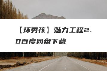 【坏男孩】魅力工程2.0百度网盘下载