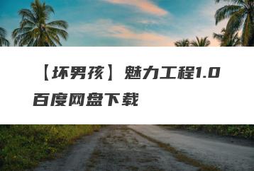 【坏男孩】魅力工程1.0百度网盘下载