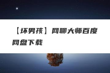 【坏男孩】网聊大师百度网盘下载