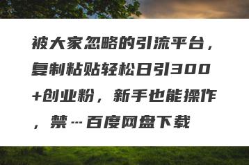 被大家忽略的引流平台，复制粘贴轻松日引300+创业粉，新手也能操作，禁…百度网盘下载