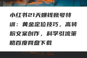小红书21天赚钱账号特训：黄金定位技巧，高转粉文案创作，科学引流策略百度网盘下载
