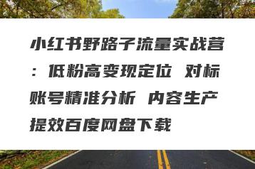 小红书野路子流量实战营：低粉高变现定位 对标账号精准分析 内容生产提效百度网盘下载