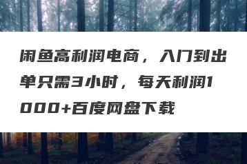 闲鱼高利润电商，入门到出单只需3小时，每天利润1000+百度网盘下载