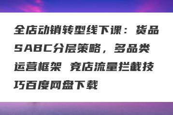 全店动销转型线下课：货品SABC分层策略，多品类运营框架 竞店流量拦截技巧百度网盘下载