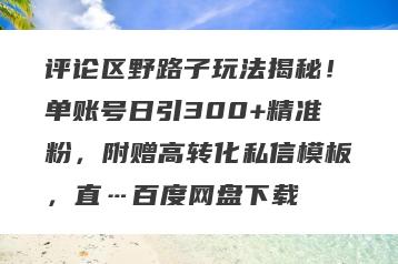 评论区野路子玩法揭秘！单账号日引300+精准粉，附赠高转化私信模板，直…百度网盘下载