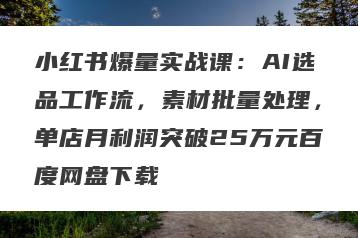 小红书爆量实战课：AI选品工作流，素材批量处理，单店月利润突破25万元百度网盘下载