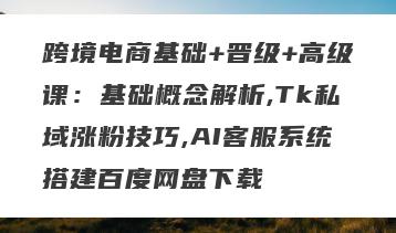 跨境电商基础+晋级+高级课：基础概念解析,Tk私域涨粉技巧,AI客服系统搭建百度网盘下载