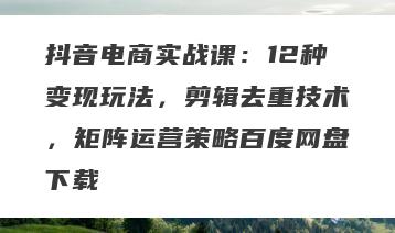 抖音电商实战课：12种变现玩法，剪辑去重技术，矩阵运营策略百度网盘下载