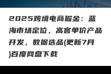 2025跨境电商掘金：蓝海市场定位，高客单价产品开发，数据选品(更新7月)百度网盘下载