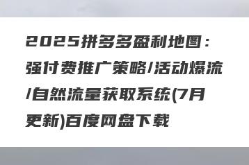 2025拼多多盈利地图：强付费推广策略/活动爆流/自然流量获取系统(7月更新)百度网盘下载