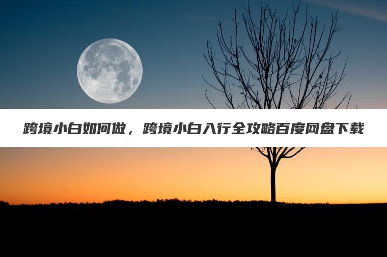 跨境小白如何做,跨境小白入行全攻略百度网盘下载 跨境小白如何做,跨境小白入行全攻略百度网盘下载